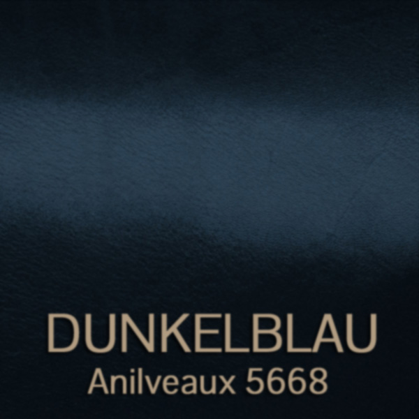 dunkelblau_anilveaux_5668 - glanzgestossenes Leder