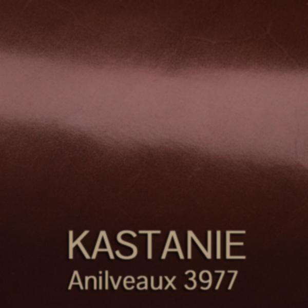 kastanie_anilveaux - glanzgestossenes Leder